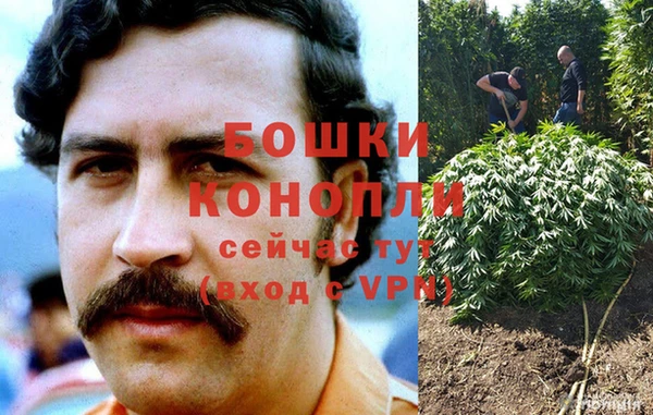 спиды Липки
