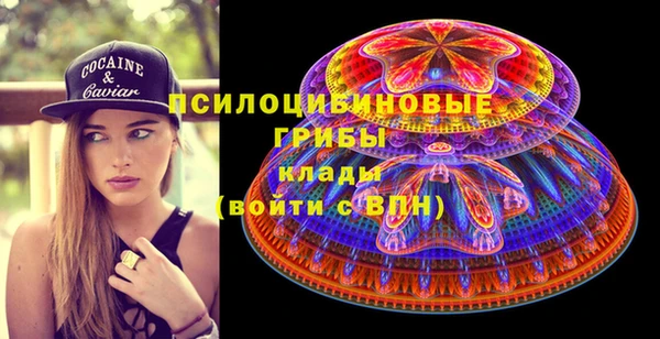 спиды Магас