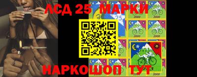 амф Гатчина