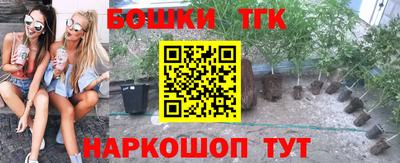 амф Гатчина