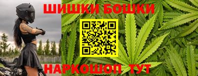 амф Гатчина