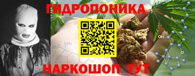 дистиллят марихуана Гай